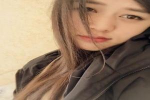450 张玉桂狗壁纸横版相关的图片，百度图片为您提供海量图片